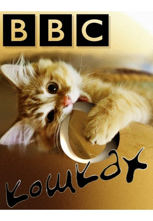 BBC about cats