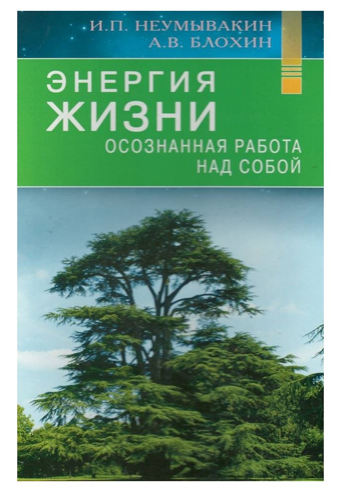 Энергия жизни. Осознанная работа над собой