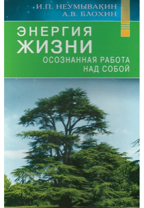 Энергия жизни. Осознанная работа над собой