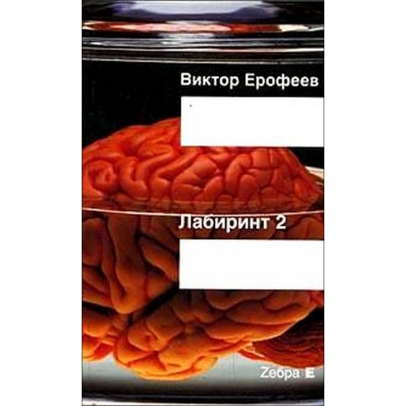 Labyrinth Two: One thing...