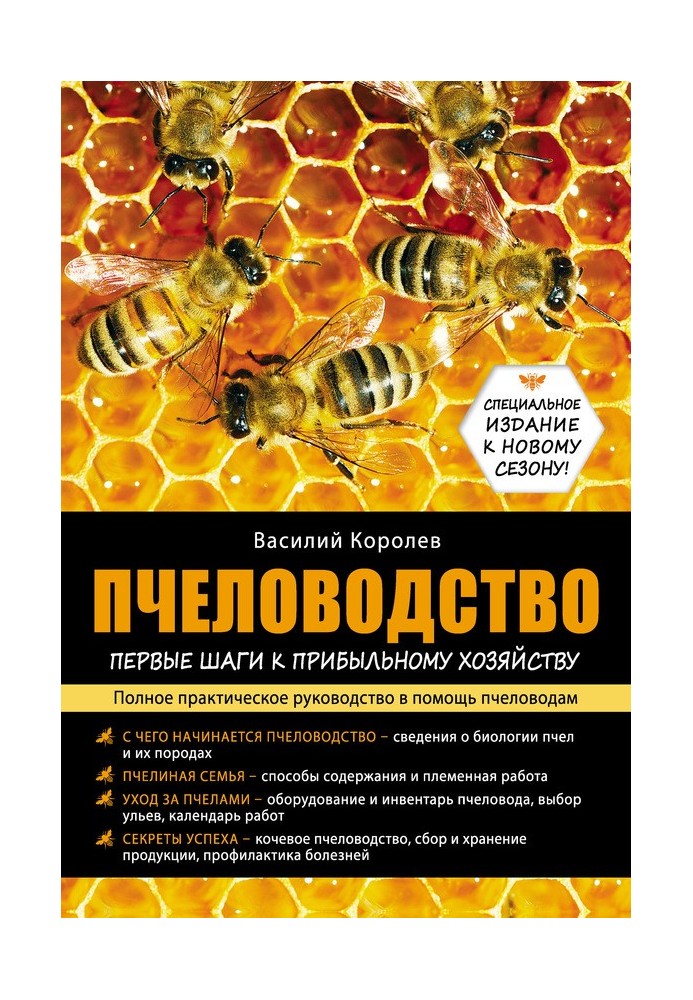 Бджільництво: перші кроки до прибуткового господарства