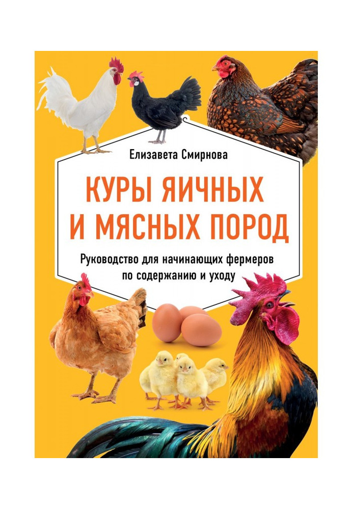 Куры of egg and meat breeds. Guidance for beginning farmers on maintenance and to the care