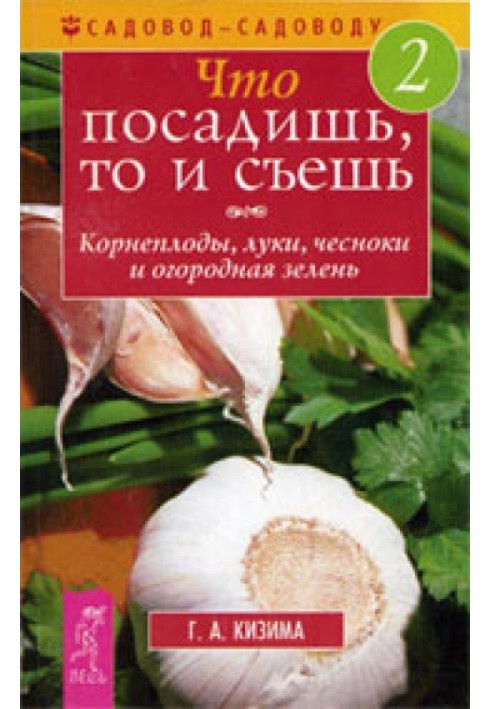 Що посадиш, те й з'їж. Частина 2. Коренеплоди, цибулі, часник та городна зелень