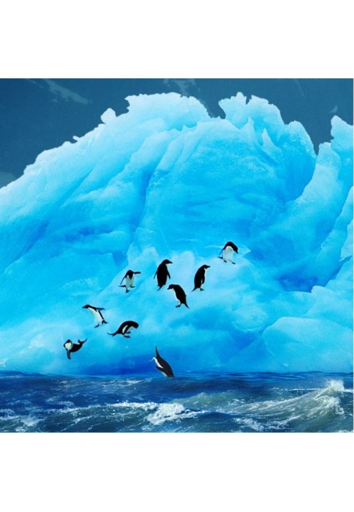 Enchanting icebergs of Antarctica