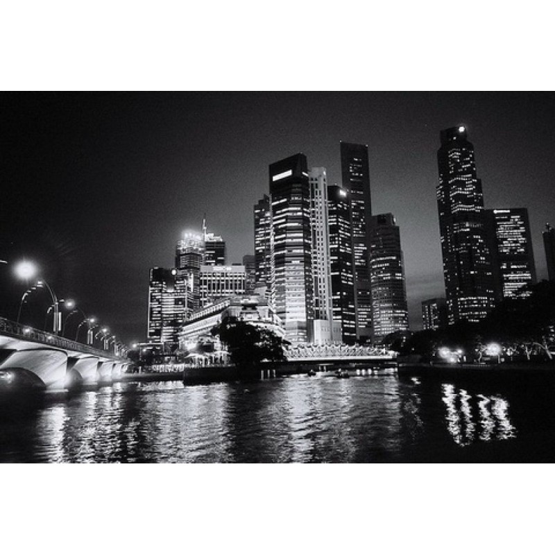 Disneyland with the Death...