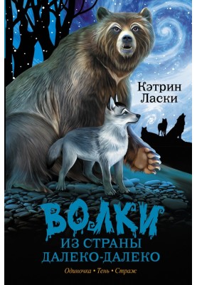 Одиночка. Тень. Страж