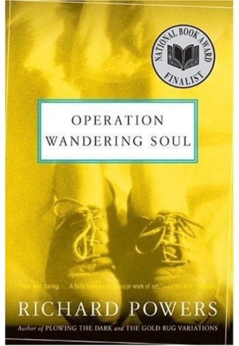 Operation Wandering Soul