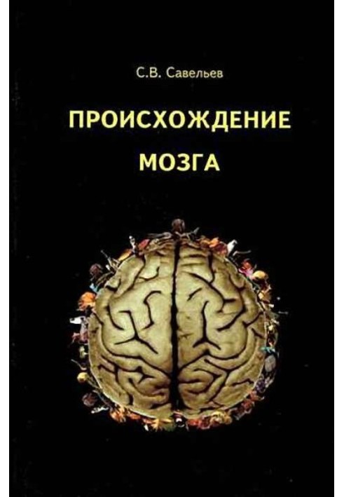 Origin of the brain