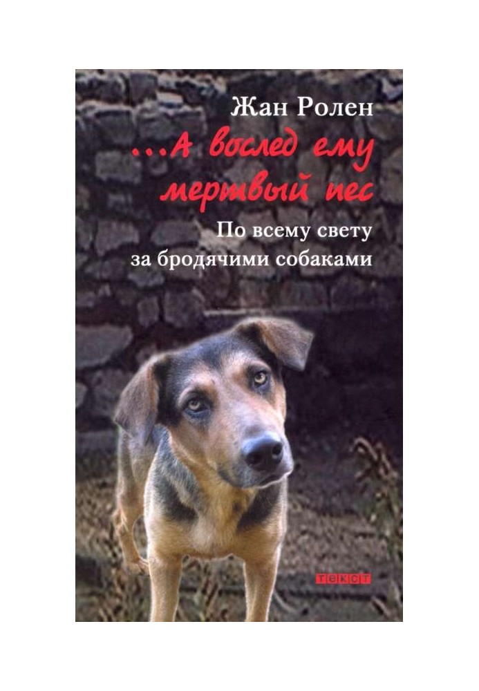 …А вослед ему мертвый пес: По всему свету за бродячими собаками