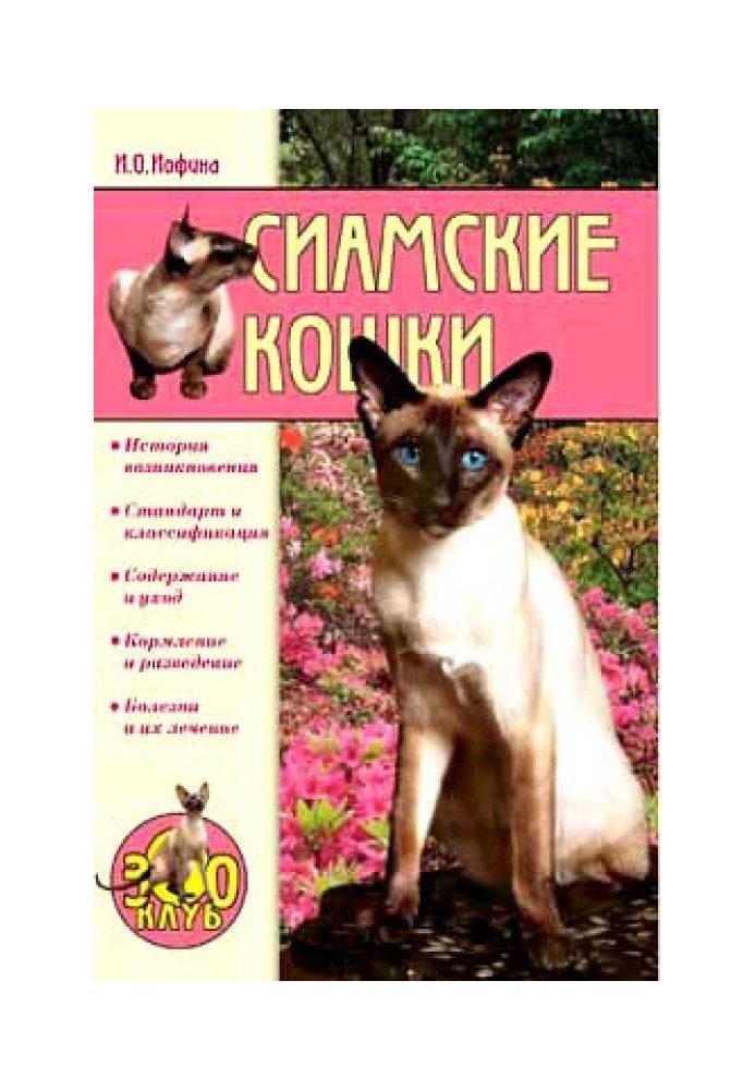 Сиамские кошки