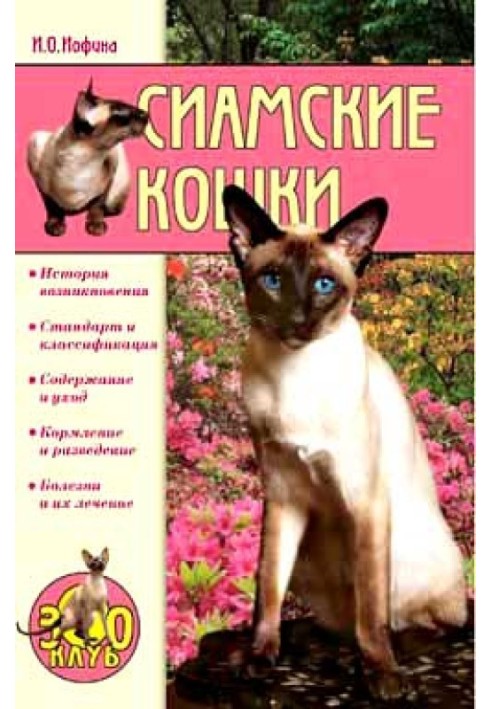 Сиамские кошки