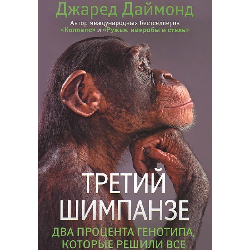 Third chimpanzee