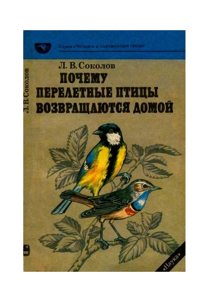 Почему перелетные птицы возвращаются домой