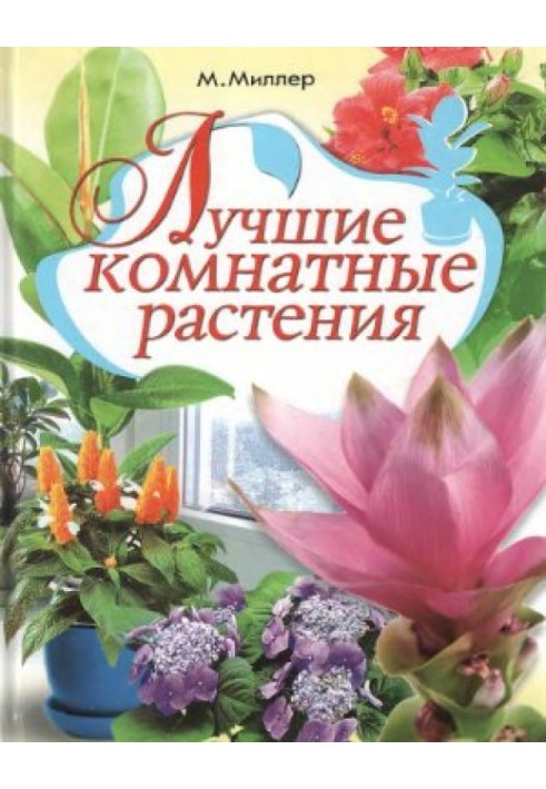 Лучшие комнатные растения