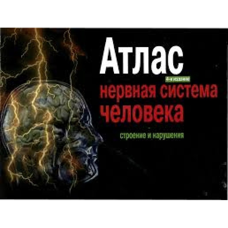 Атлас. Нервная система...