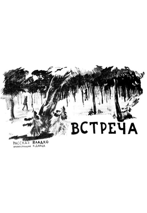 Встреча