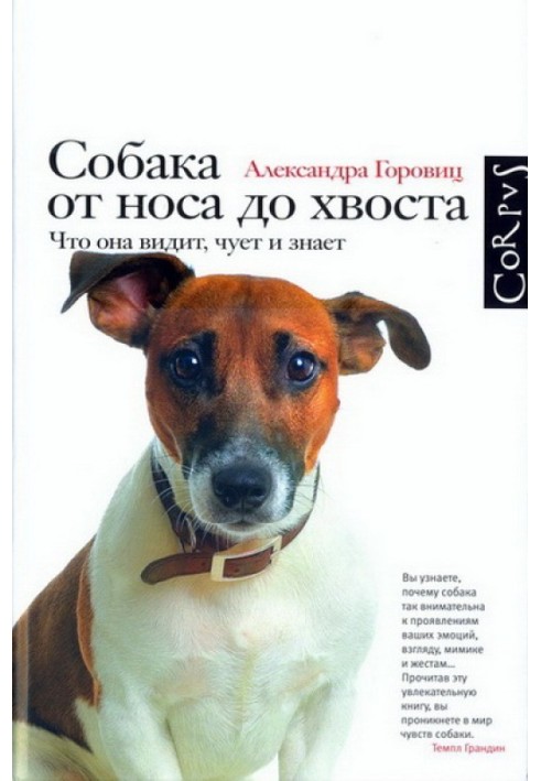 Собака від носа до хвоста. Що вона бачить, чує та знає