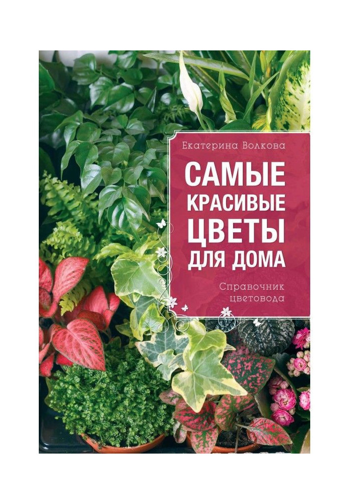 Найкрасивіші квіти для дому. Довідник квітникара