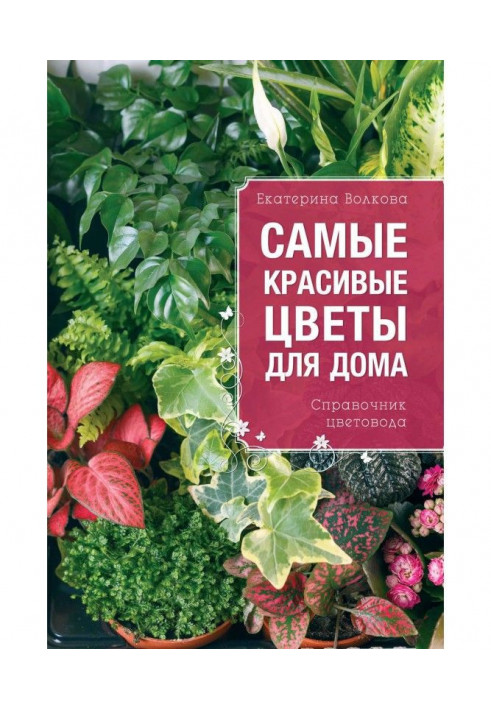 Most beautiful flowers for a house. Reference book of цветовода