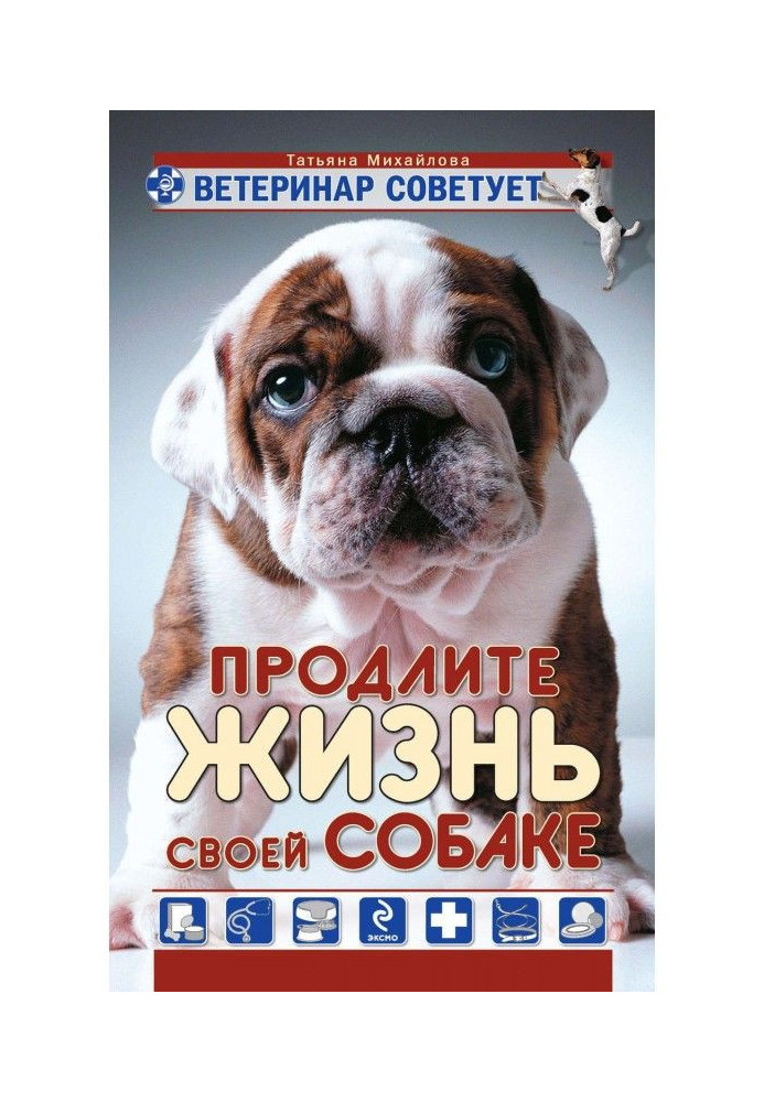 A veterinary advises. Prolong life to the dog