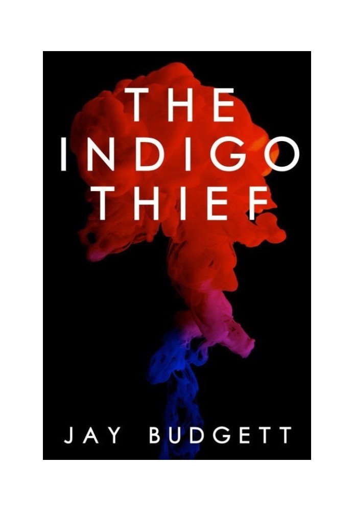 The Indigo Thief