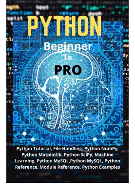 Python Beginner To Pro