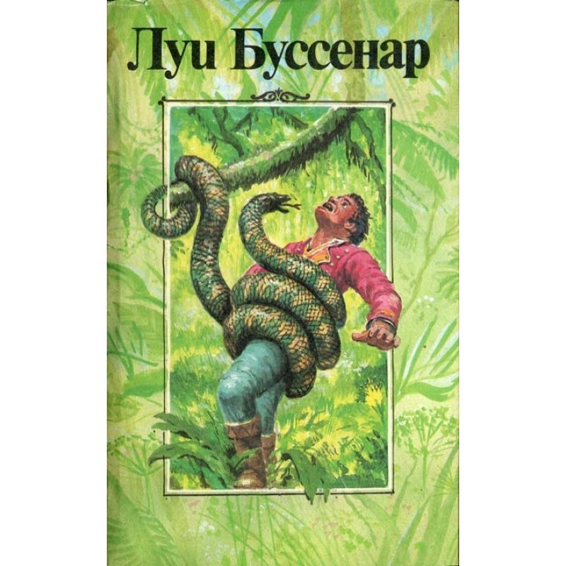 Adventures in Bison Country