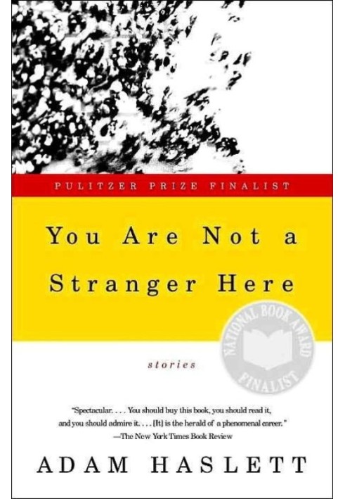 You Are Not a Stranger Here