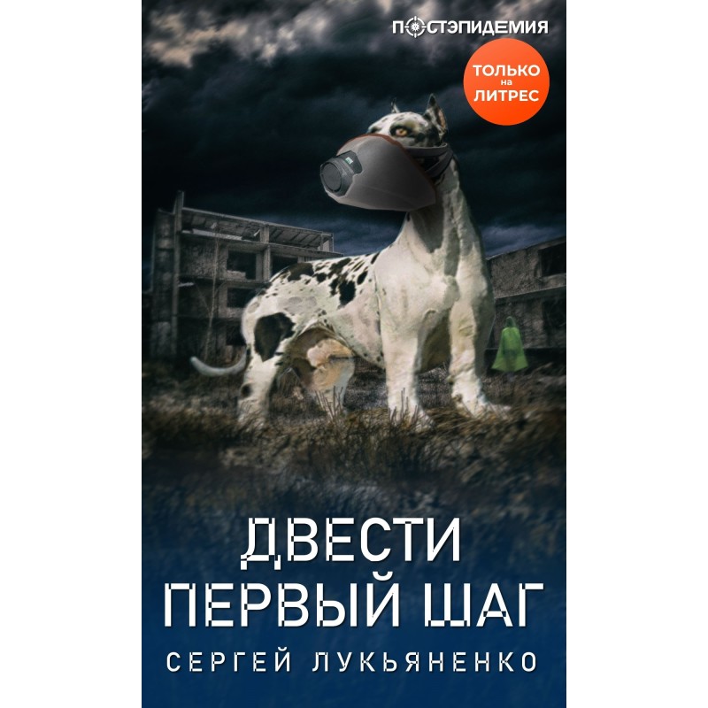 Two hundred and first step