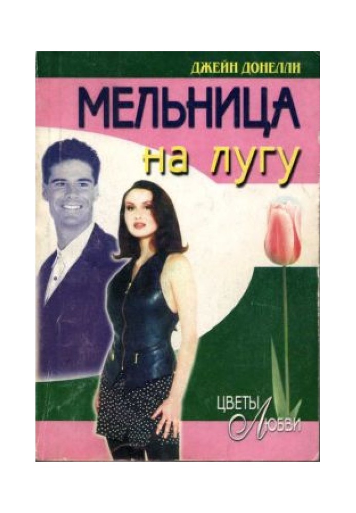 Мельница на лугу