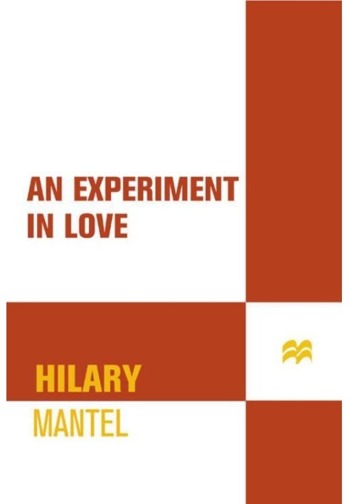 An Experiment in Love: A Novel