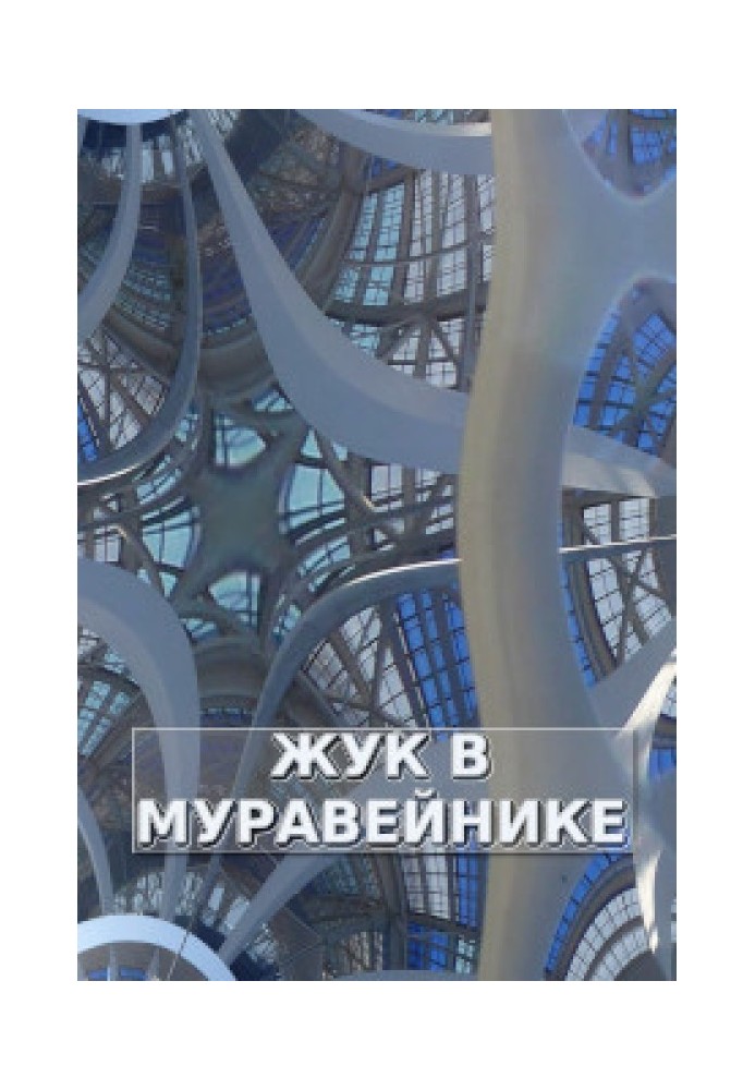 Жук в Муравейнике