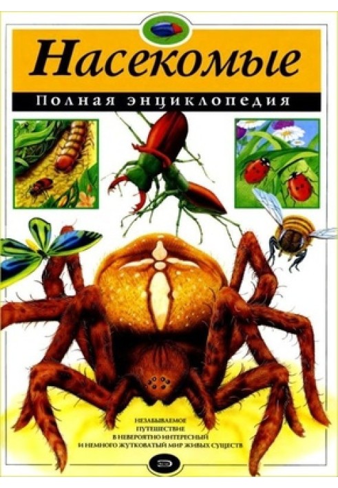 Insects. Complete encyclopedia