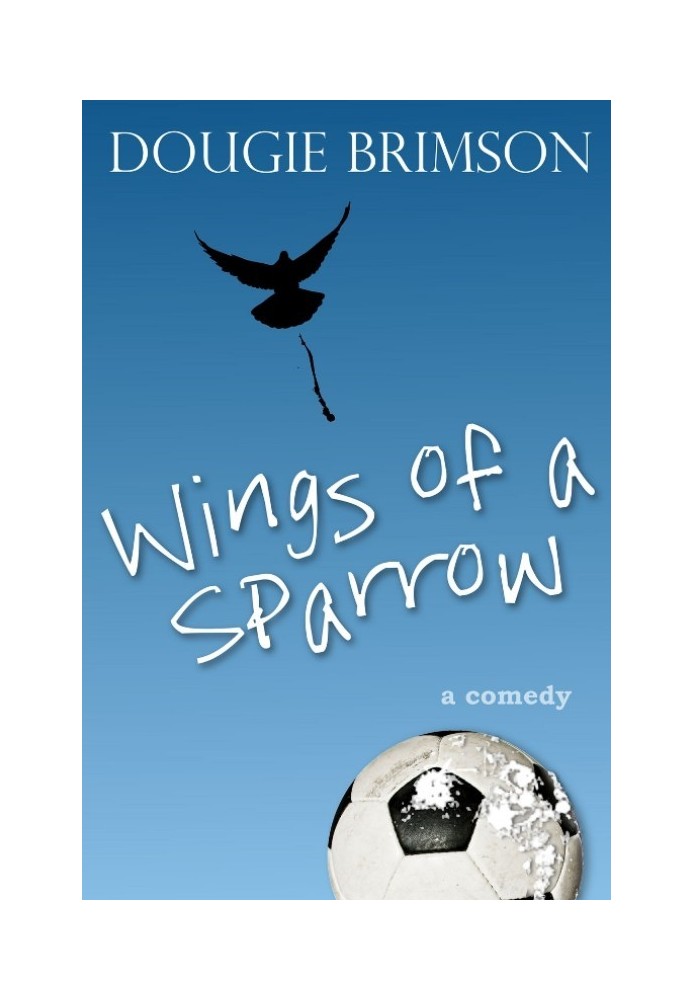 Wings of a Sparrow