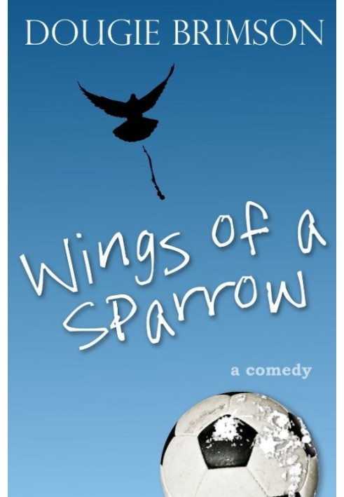 Wings of a Sparrow