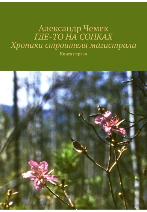 Десь на сопках. Хроніки будівельника магістралі. Книга 1