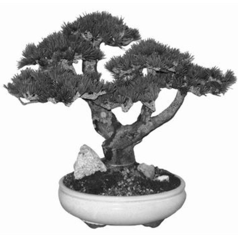 Country for internal...