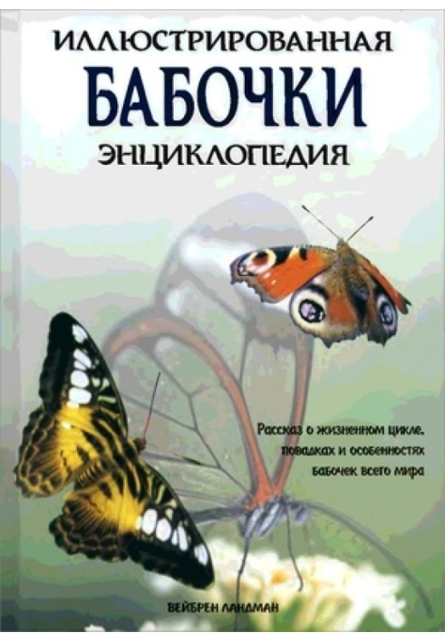 Метелики. Ілюстрована енциклопедія