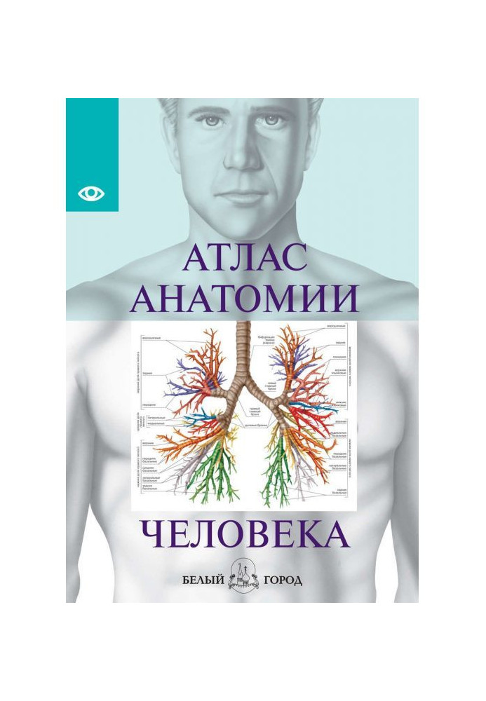 Atlas of anatomy of man. All organs of human body