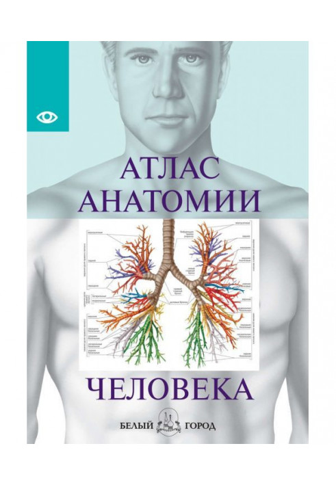 Атлас анатомії людини. Усі органи людського тіла