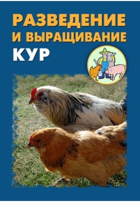 Breeding and raising chickens