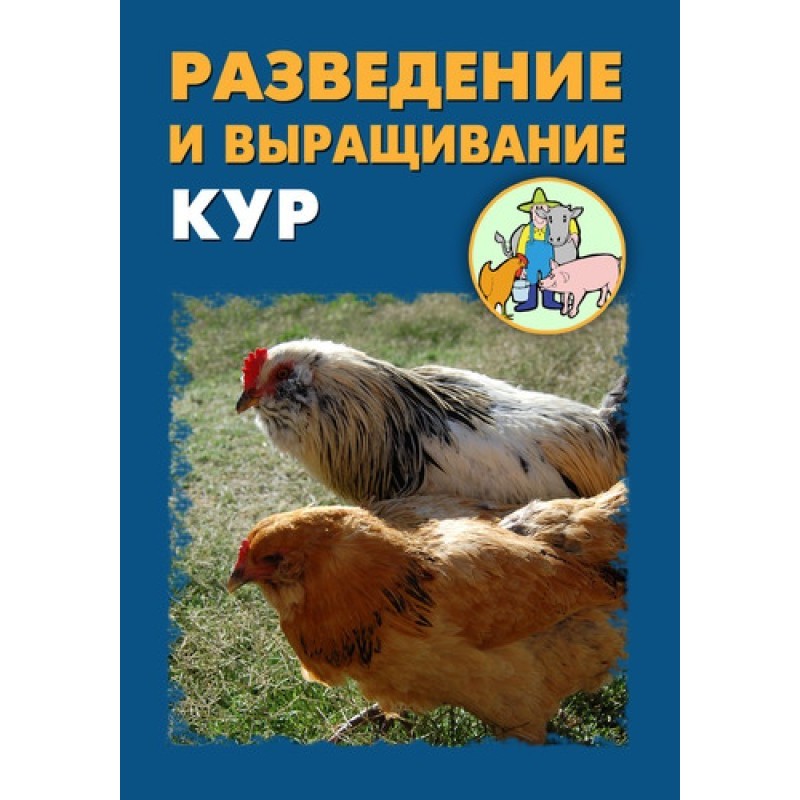 Breeding and raising chickens