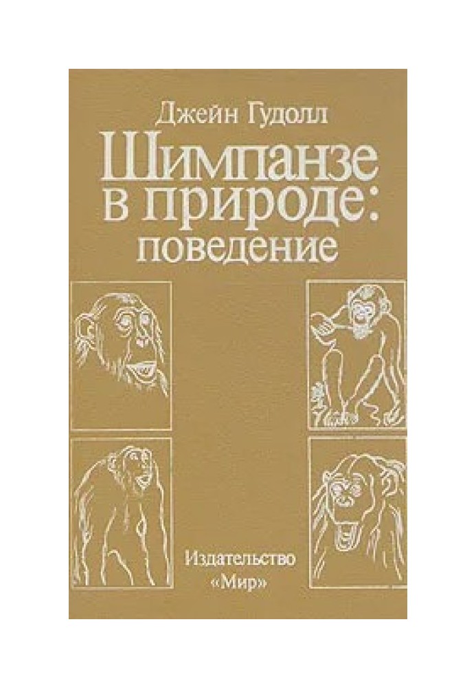 Шимпанзе у природі: поведінка