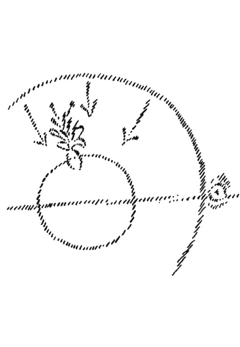 GA 235. Esoteric consideration of karmic connections. Volume I - Formation of Karmic Forces