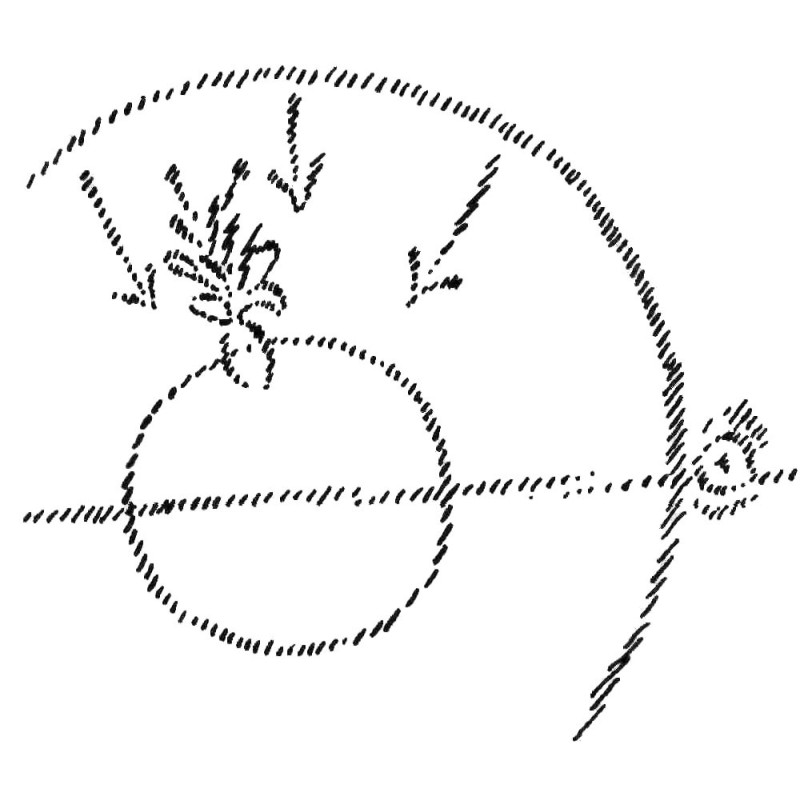GA 235. Esoteric...