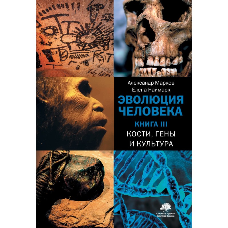 Human evolution. Book III....