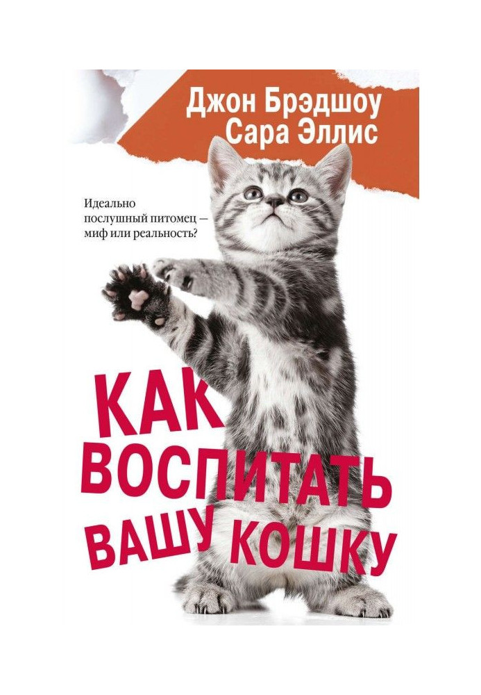 Как воспитать вашу кошку