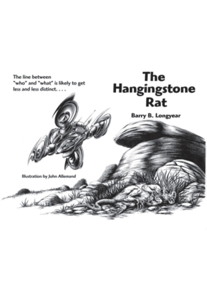 The Hangingstone Rat