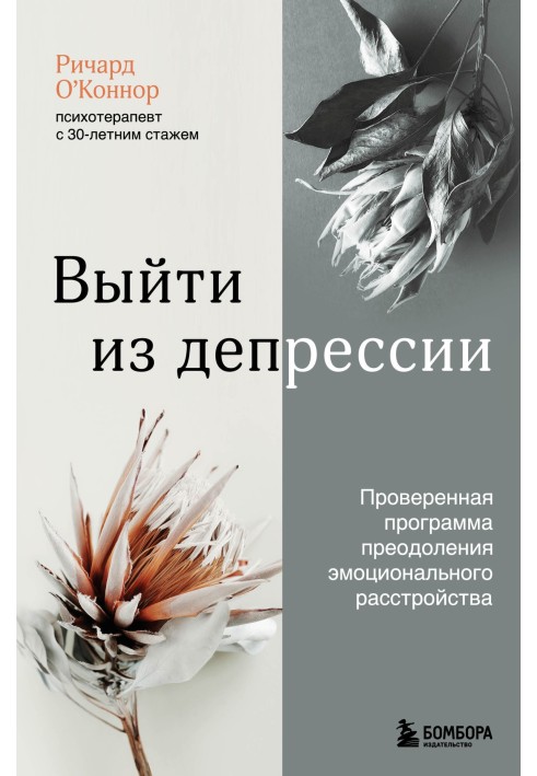 Вийти із депресії. Перевірена програма подолання емоційного розладу