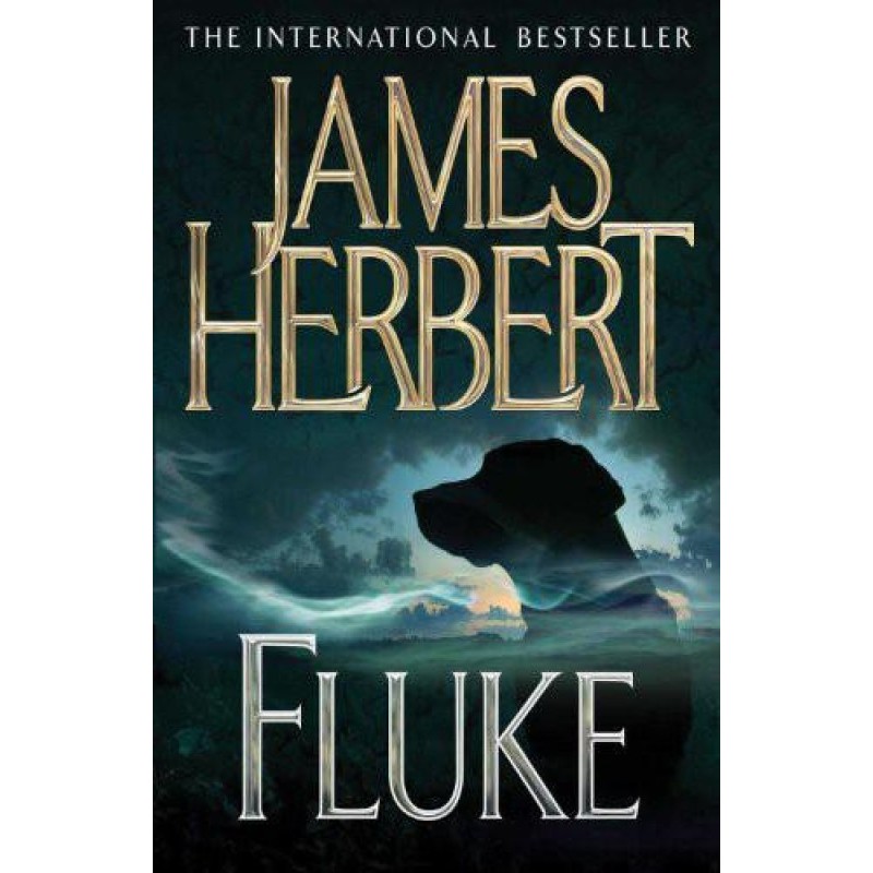 Fluke